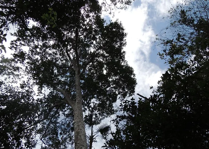 Villa Maya - Glamping - Natural Reserve