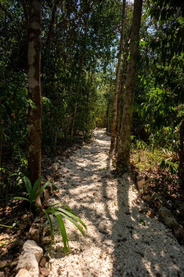 Maya - Glamping - Natural Reserve Campsite Cozumel