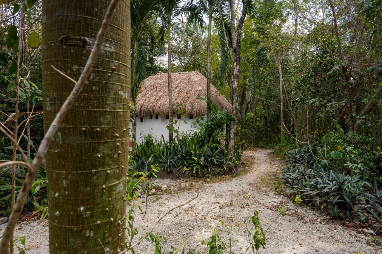 Maya - Glamping - Natural Reserve Campsite *