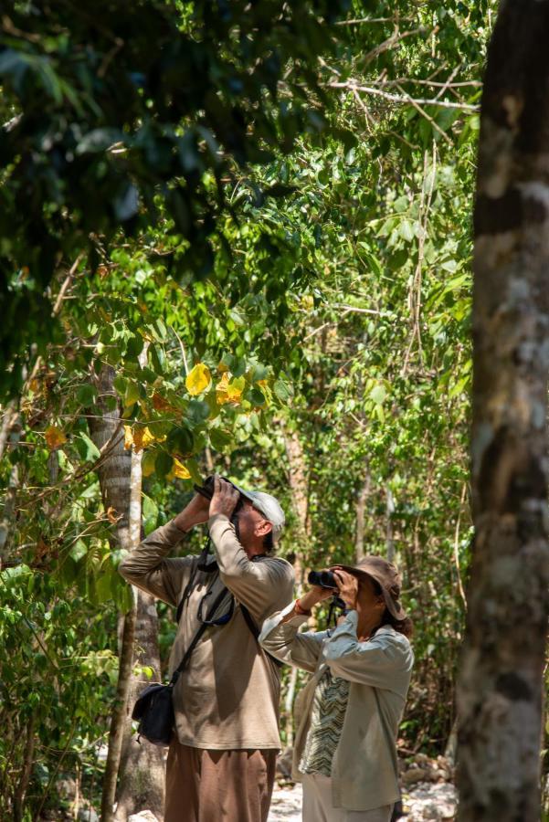 Maya - Glamping - Natural Reserve Campsite *