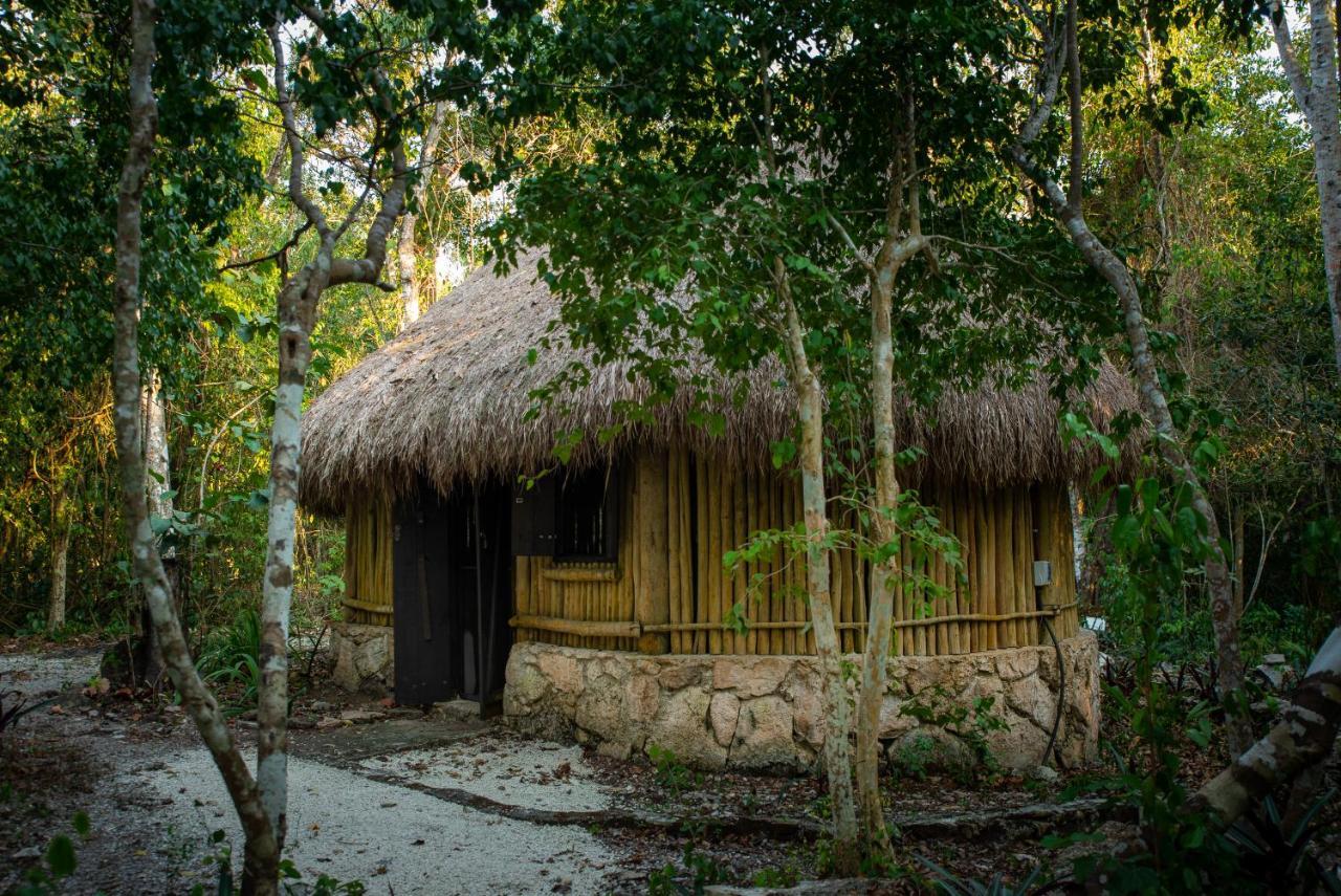 Maya - Glamping - Natural Reserve Cozumel