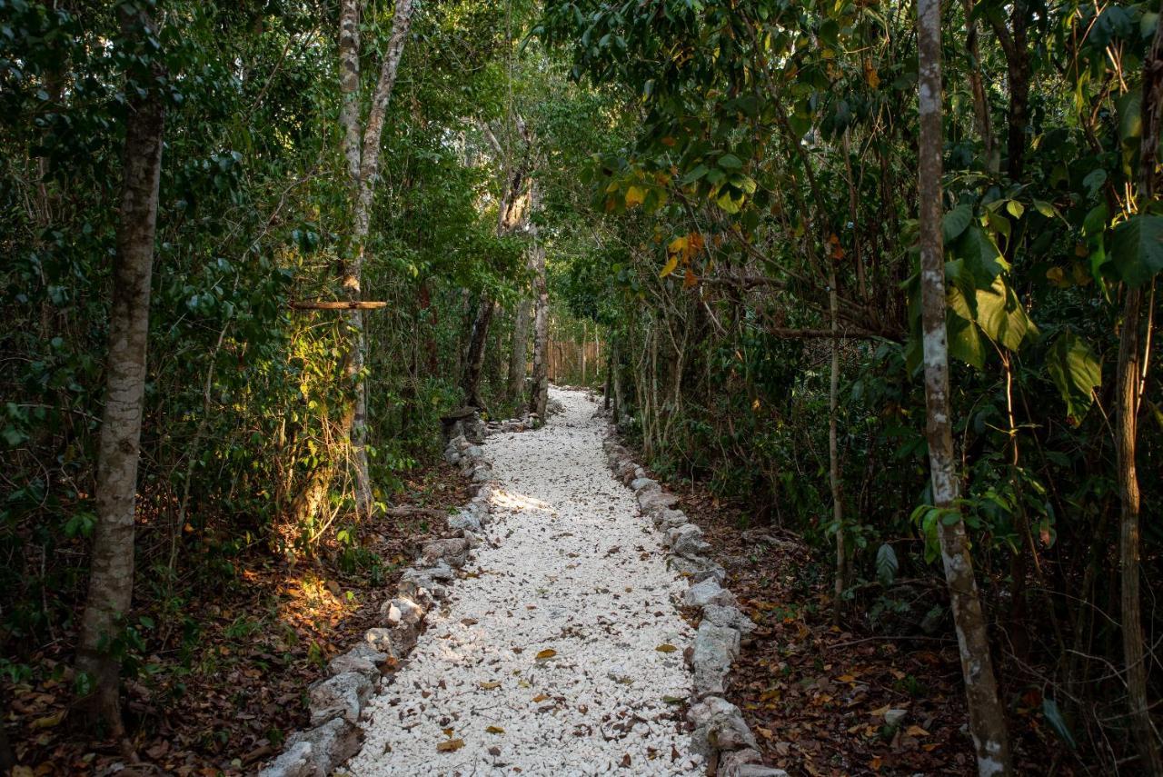Maya - Glamping - Natural Reserve Campsite *