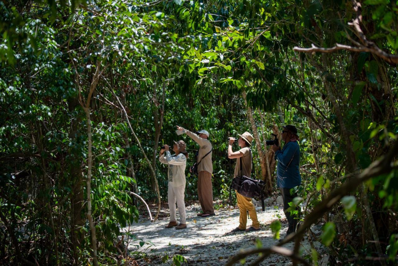 Maya - Glamping - Natural Reserve Campsite
