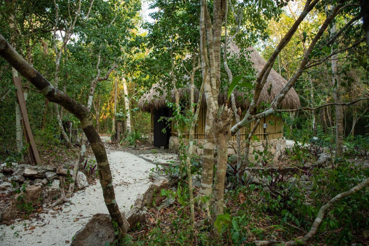 Maya - Glamping - Natural Reserve