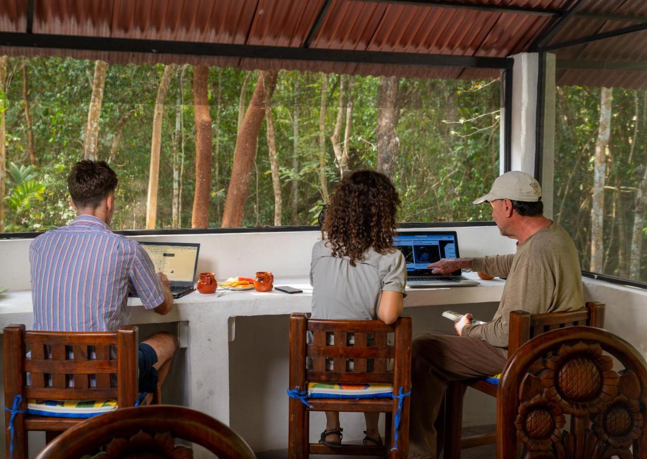 Campsite Maya - Glamping - Natural Reserve