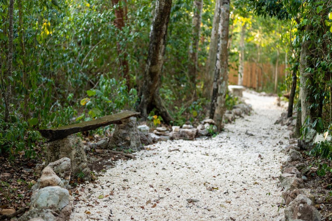 Maya - Glamping - Natural Reserve *