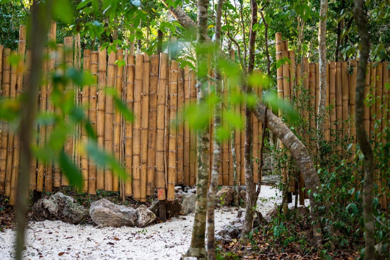 Maya - Glamping - Natural Reserve