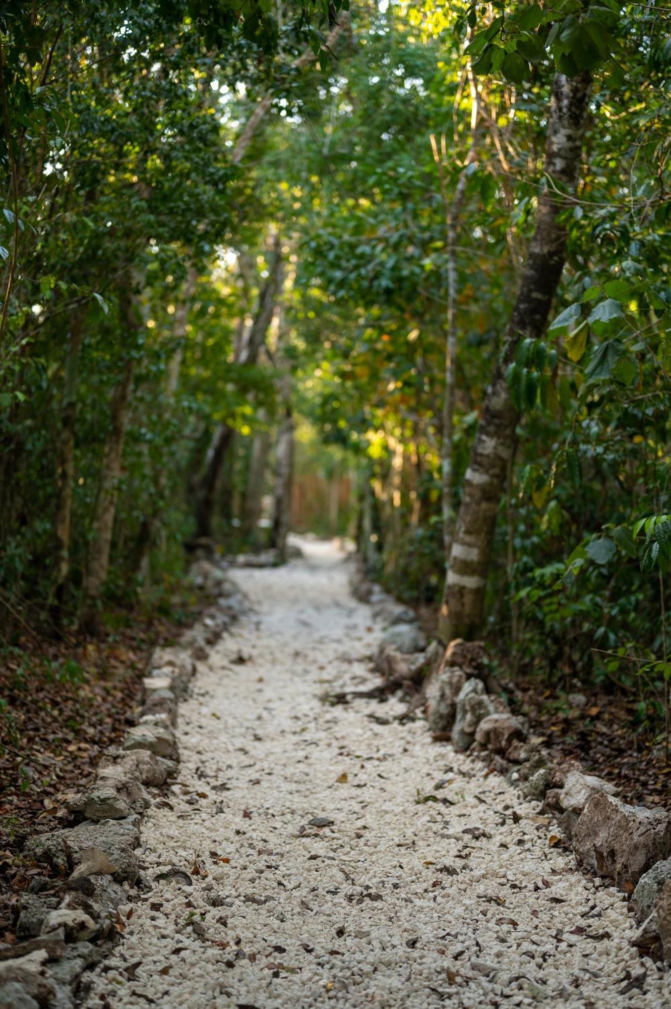 Maya - Glamping - Natural Reserve *