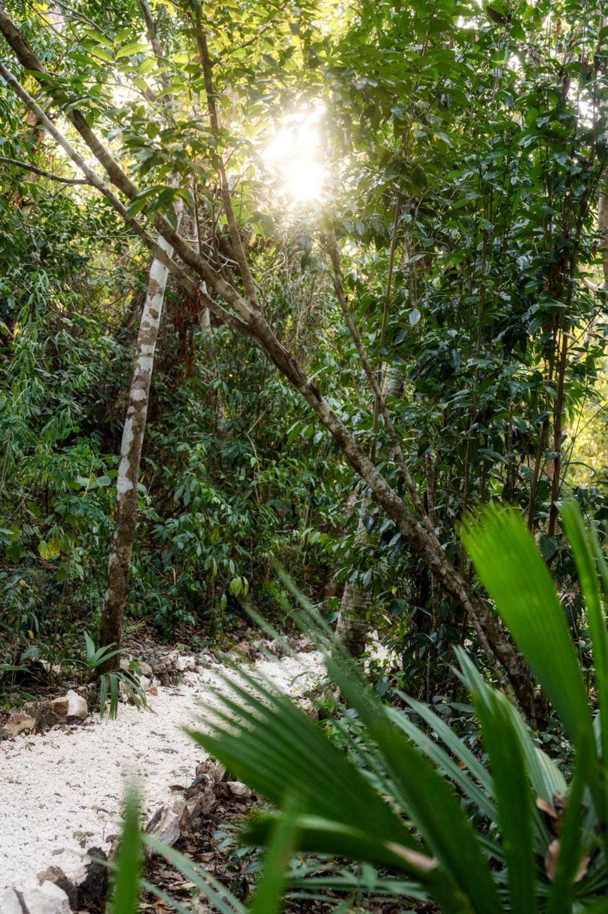 Maya - Glamping - Natural Reserve Campsite *