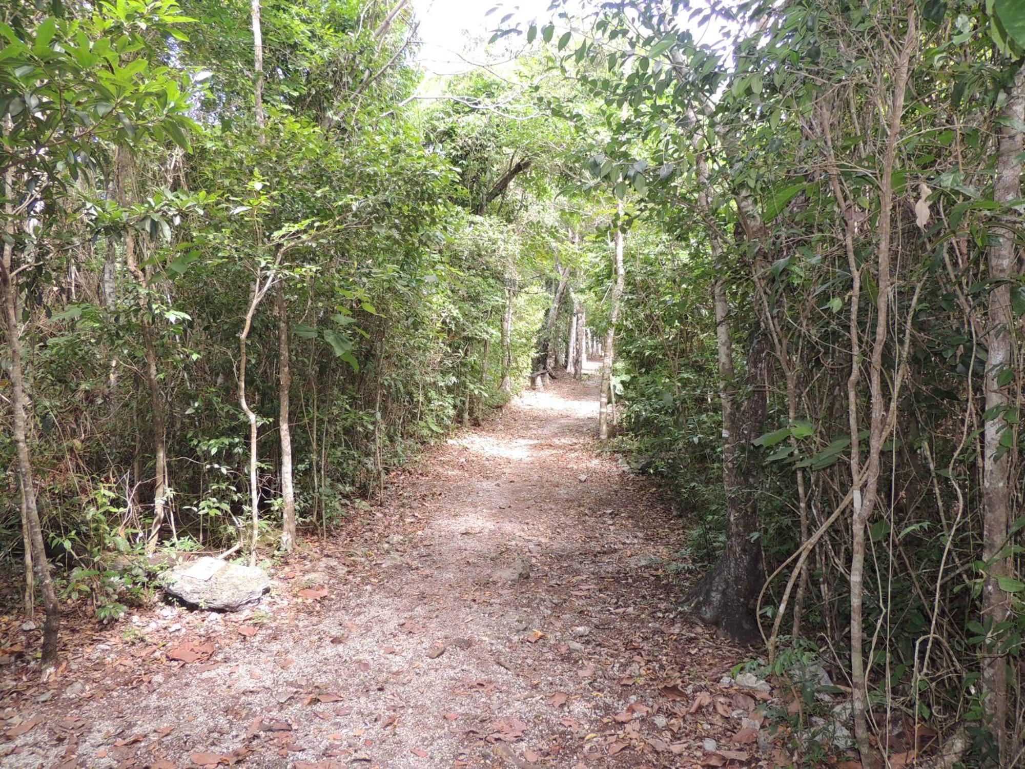 Maya - Glamping - Natural Reserve Campsite Cozumel