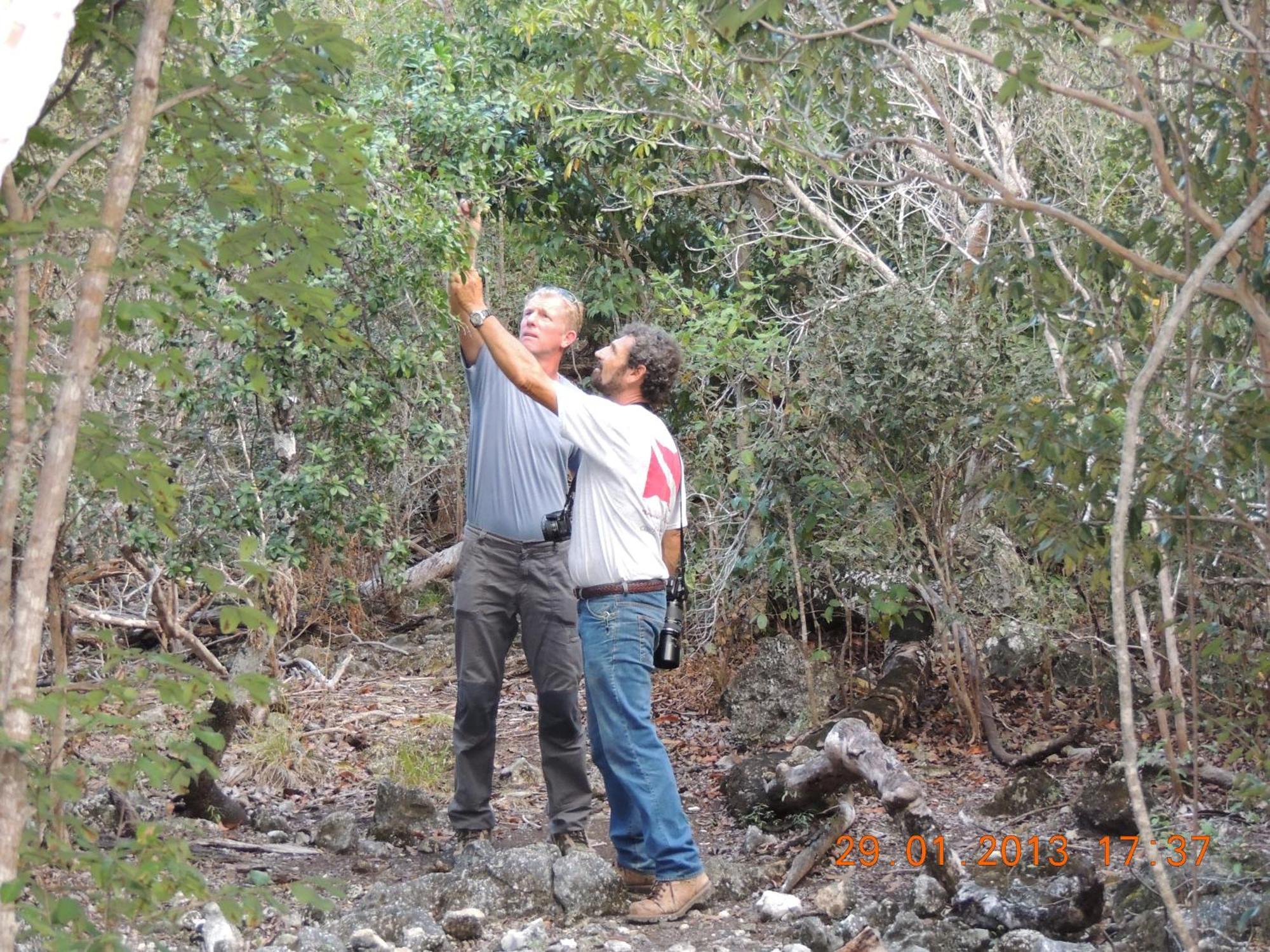 Maya - Glamping - Natural Reserve *