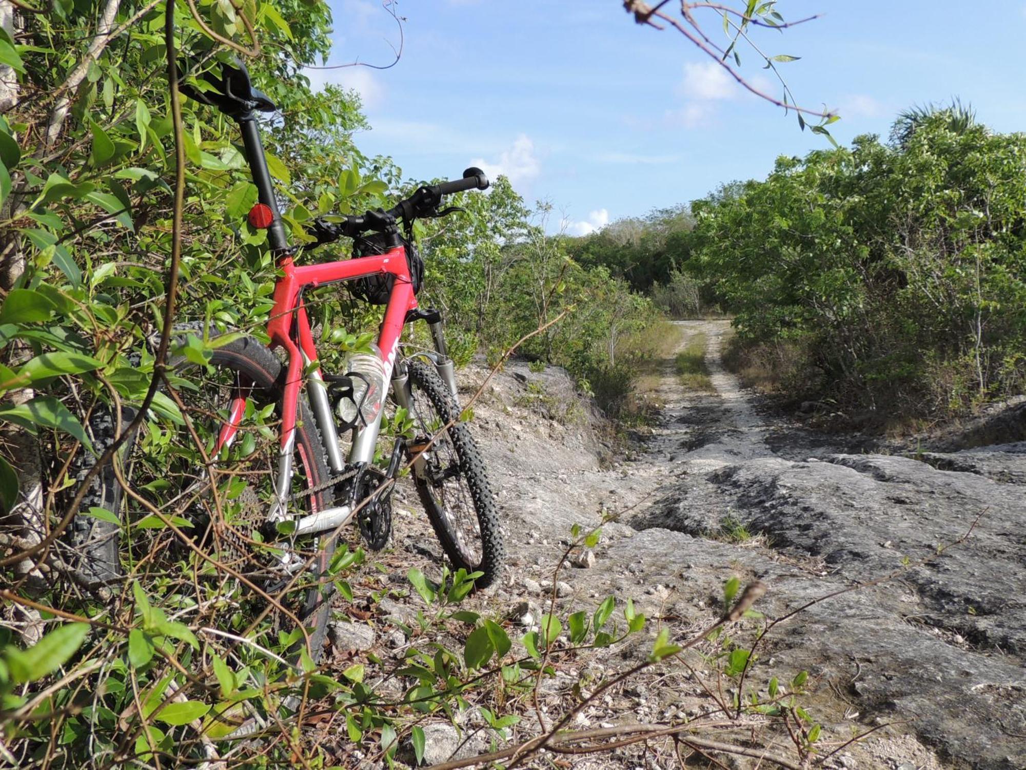Maya - Glamping - Natural Reserve Cozumel